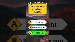 Anatomy Quiz For Americans 👀🧠🇺🇲 shortvideo shorts shortsfeed quiztime quizweb [upl. by Nnaaihtnyc345]