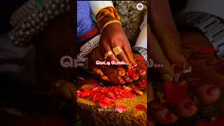 anname anname naan solli lyrics  kappaleri poyachu Indian  whatsapp status [upl. by Tengler]