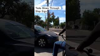 Tesla Blows Through Stop Sign automobile Tesla [upl. by Ebbie113]