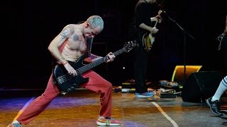 HQ Red Hot Chili Peppers  Cant Stop Lollapalooza Argentina 2014 [upl. by Nutter264]