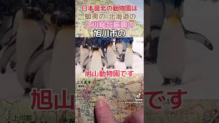 What is the northernmost zoo in Japan 日本最北の動物園はどこですか？japan patrickinjapan 日本 日本地図 北海道 蝦夷 [upl. by Iramat]