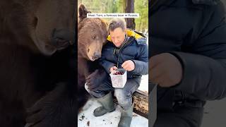 A bear cub was rescued and then became a long life companion shorts [upl. by Ayiak]