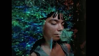 Björk  Hyperballad  Official 4K Music Video Radio Edit [upl. by Yrome]