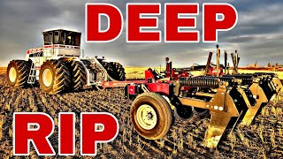 bigbud bigtractor 600HP BIG BUD Deep Ripping｜FRACTURE That Hard Pan [upl. by Vedi531]