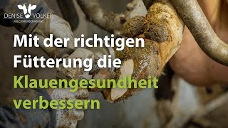 Mit der richtigen Fütterung die Klauengesundheit verbessern [upl. by Tserof341]