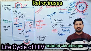 58 Life cycle of HIV retrovirus  AIDS causes and symptoms  Fsc Biology Class 11 [upl. by Leinaj273]