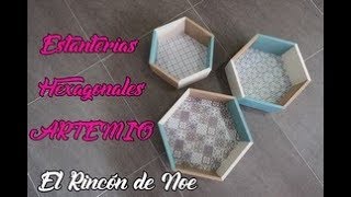 COMO HACER ESTANTERIAS HEXAGONALES ARTEMIO El Rincón de Noe [upl. by Aliemaj87]