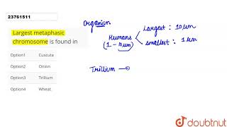 Largest metaphasic chromosome is found in [upl. by Laucsap59]