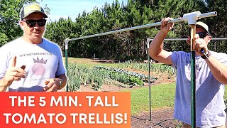 Build This Tall Tomato Trellis in Just 5 Minutes [upl. by Koralle]