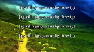 Jag vill sjunga om dig förevigt  Jeanette Alfredsson amp Frank Ådahl lyrics [upl. by Tinor]