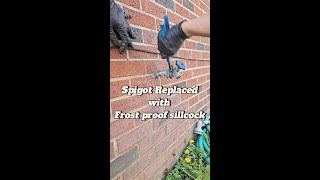 Spigot replaced with Frost Proof Sillcock [upl. by Bevvy807]