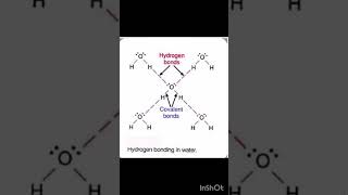 Four Hydrogen bonding in one water molecule 🤔 [upl. by Gavette]