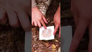 Portable Stove Cans amp Napkins Hack 🔥💡camping bushcraft survival outdoors lifehacks [upl. by Aholah883]