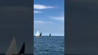 On the Fast Ferry in Sydney Harbor australiancity [upl. by Nnahs]