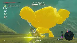 Stone Talus The Legend of Zelda Breath of The Wild [upl. by Lello]