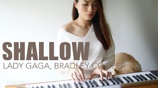 Lady Gaga Bradley Cooper  Shallow A Star is Born l Cover [upl. by Wally]