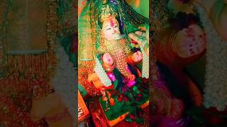 Dashama na Thal🙏🌹🙏Jai dashama Maa 🙏🌹🙏trending dashamanewsong youtubeshortdashamadashamanaaarti [upl. by Finkelstein645]