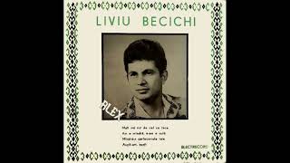 LIVIU BECICHI [upl. by Barbara-Anne]