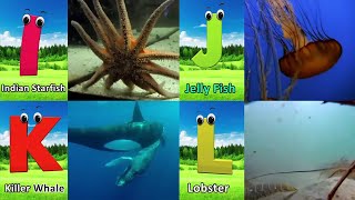 Sea Animals ABC Song for Children  Phonics for Kids  Alphabet Letters  Alphabet Song [upl. by Cleon]