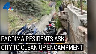 Pacoima Residents Plead With City to Cleanup Homeless Encampment  NBCLA [upl. by Pownall]