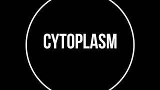 Cytoplasm Class9 Chap4 [upl. by Surat844]