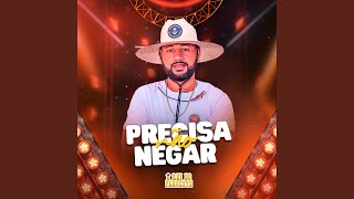 Não Precisa Negar [upl. by Rivalee21]