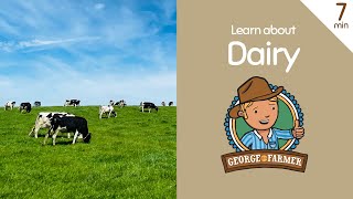 Dairy from Cows with George the Farmer [upl. by Gilberta]