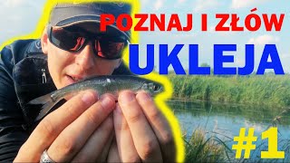 UKLEJA  Poznaj i Złów 1 [upl. by Ahearn]