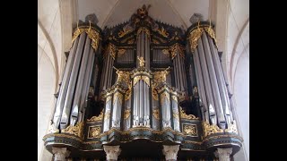 J S Bach Toccata adagio and fugue in C major BWV 564 Sietze de Vries Martinikerk Groningen [upl. by Anaic]