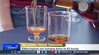 China targets French brandy after EU approves EV tariffs [upl. by Charry]