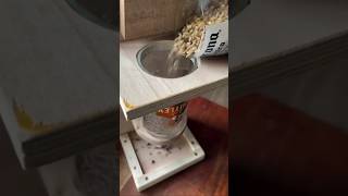 Its very useful for bird feeding shortsvideo [upl. by Naimaj]