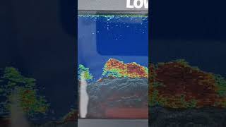 Lowrance Hook Reveal 7 [upl. by Darn967]