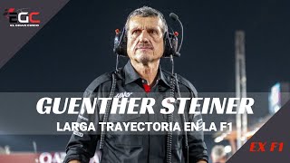 GUENTHER STEINER Larga trayectoria en la F1 [upl. by Ollecram262]