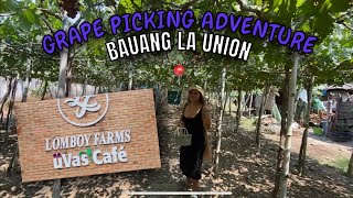 Lomboy Farms  Bauang La Union  Grape Picking Adventure [upl. by Eniamzaj]