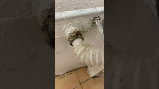 Master Plumbing Tips 5 Hire a professional￼ [upl. by Annwahs]