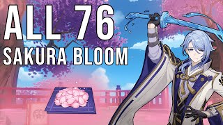 ALL 76 Sakura Bloom Locations amp Farming Routes  Kamisato Ayato Ascension  Genshin Impact Guide [upl. by Ilamad]