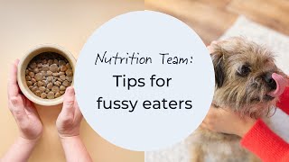 Tips for fussy dogs [upl. by Guenna422]