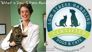 quotWhat is LowStress Handlingquot with Dr Sally J Foote  Pet Training [upl. by Tali934]