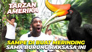 HAHH TARZAN AMERIKA MAU TINGGAL DI INDONESIA [upl. by Feeley]