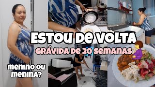 ESTOU DE VOLTA • GRÁVIDA DE 20 SEMANAS • É MENINO OU MENINA  • ROTINA DO LAR AnttoniaSousa [upl. by Ynove]