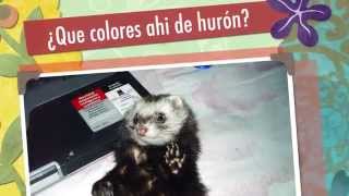 LOS COLORES DEL HURON Parte 1 [upl. by Zeena]