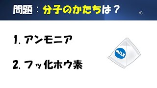 【化学】【分子のカタチ】猫が出す化学の問題なのです（混成軌道19） [upl. by Xonnel736]