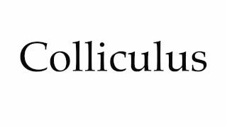 How to Pronounce Colliculus [upl. by Emeric]