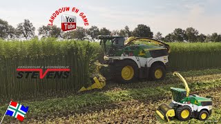 Vezelhennep maaien HempFlax en Loonbedrijf Stevens Wildervank John Deere 9600i 4K oost Groningen [upl. by Eecart]