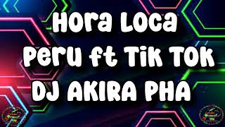 HORA LOCA PERU FT TIK TOK DJ AKIRA PHASAO AMORESCHE CHEEL CABALLITO 2024 [upl. by Zehc]