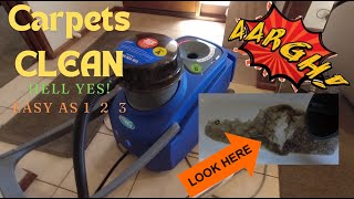 Britex DIY carpet cleaning machine  How to USE and RESULTS WOW [upl. by Malinowski]