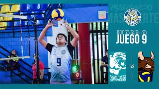 🏐🐆 MAYOR  Jaguares UAM vs Toros de Chontales [upl. by Helena]