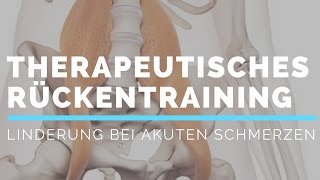 Professionelles Rückentraining gegen akute Schmerzen [upl. by Lira168]