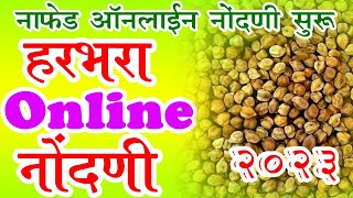 नाफेड हरभरा खरेदी नोंदणी 2022 l नाफेड ची हरभरा खरेदी सुरू  Nafed Harbhara online registration 2022 [upl. by Wsan999]