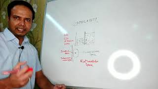 Osmolarity Basics of Shock and electrolyte imbalance Hindi [upl. by Kaylil]